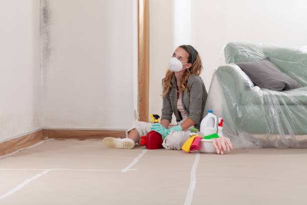 Reliable Black Mold Removal contractor in Budd Lake, NJ by WQB Mold Removal